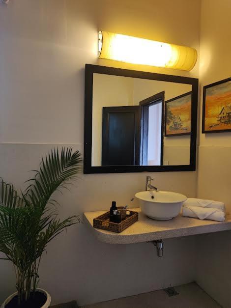 Hotel Papillon